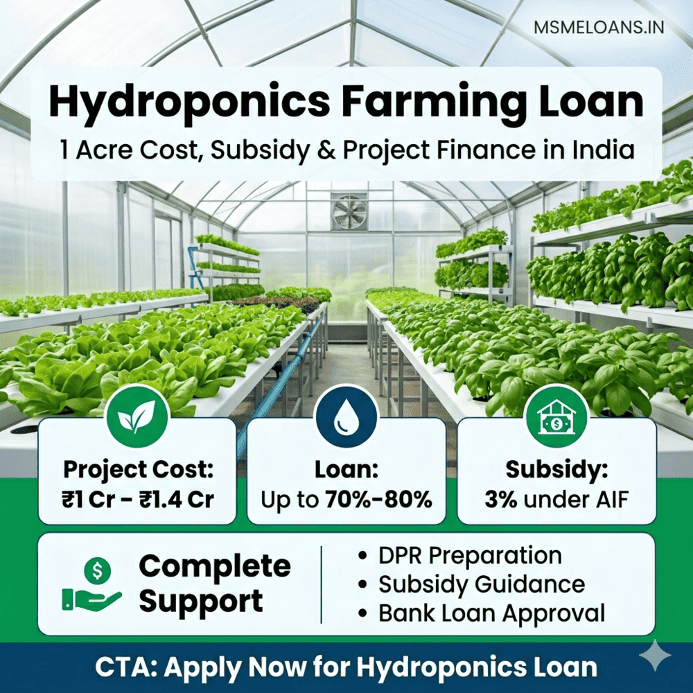 hydroponic farming loan cost setup in India AIF Subsidy