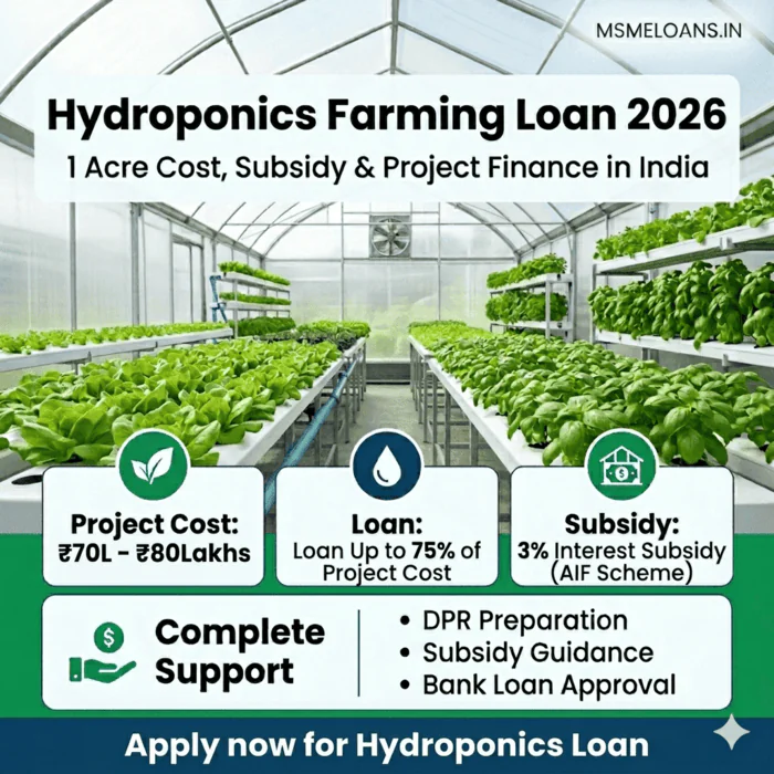 hydroponic farming loan cost setup in India AIF Subsidy